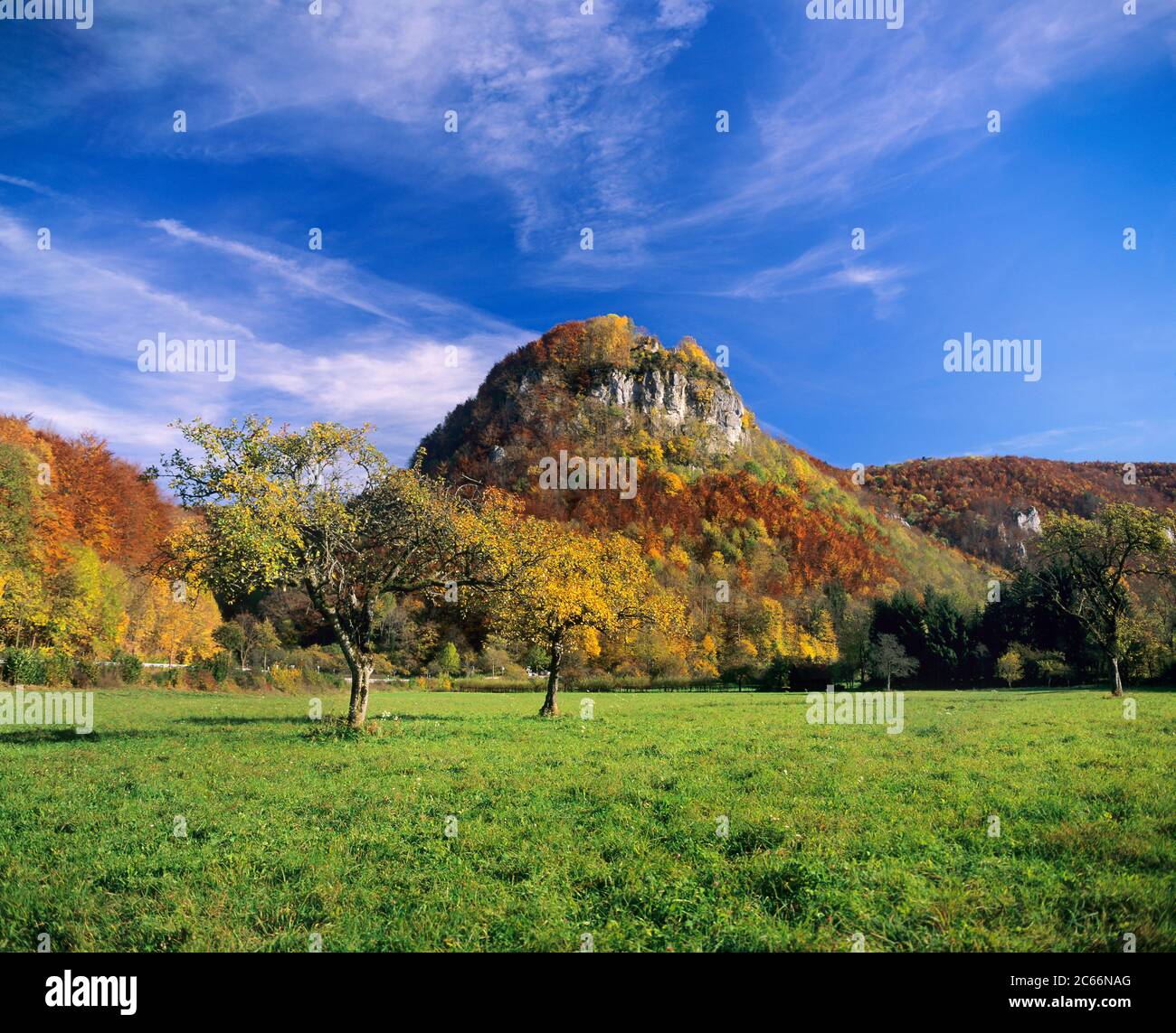 Hohenwittlingen castle ruins above the Erm valley near Bad Urach, Swabian Jura, Baden-Württemberg, Germany Stock Photo