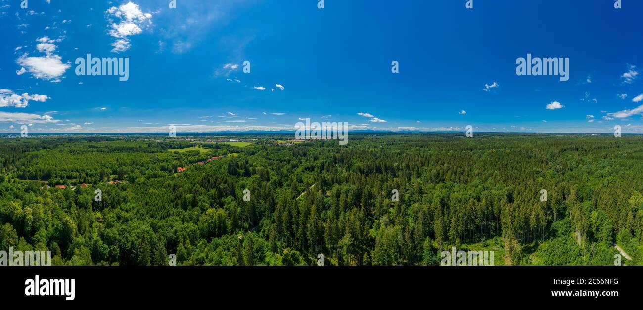 Beautiful panoramic aerial drone view over a green, fresh forest with a blue sky in summer - symbol for fresh air, health and photosynthesis Stock Photo
