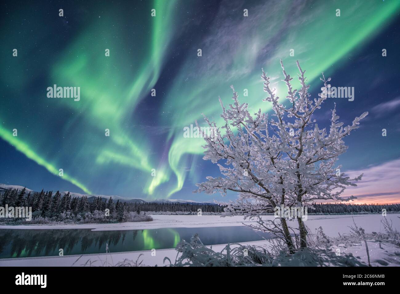 Northern lights dancing in the sky, Yukon Territory, Canada Stock Photo ...