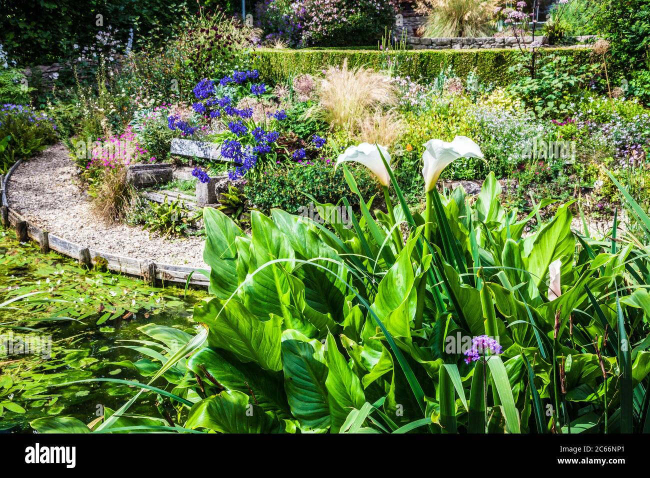 Amongst Dense Vegetation High Resolution Stock Photography and Images ...