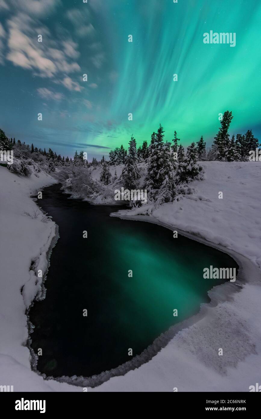 Northern lights in Yukon territory, Canada Stock Photo - Alamy