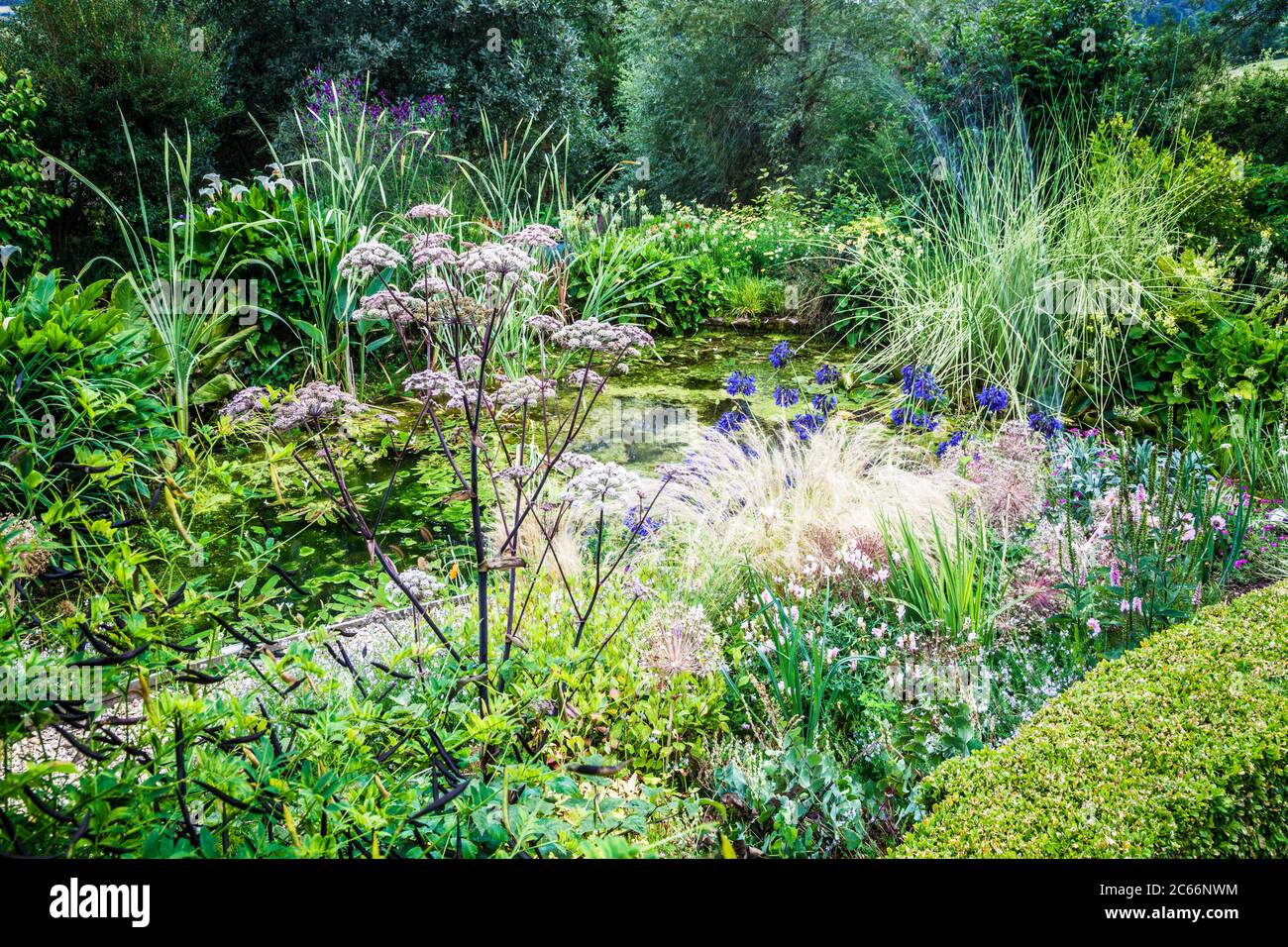 Gravel path through lush garden growth leading to a pond. Stock Photo