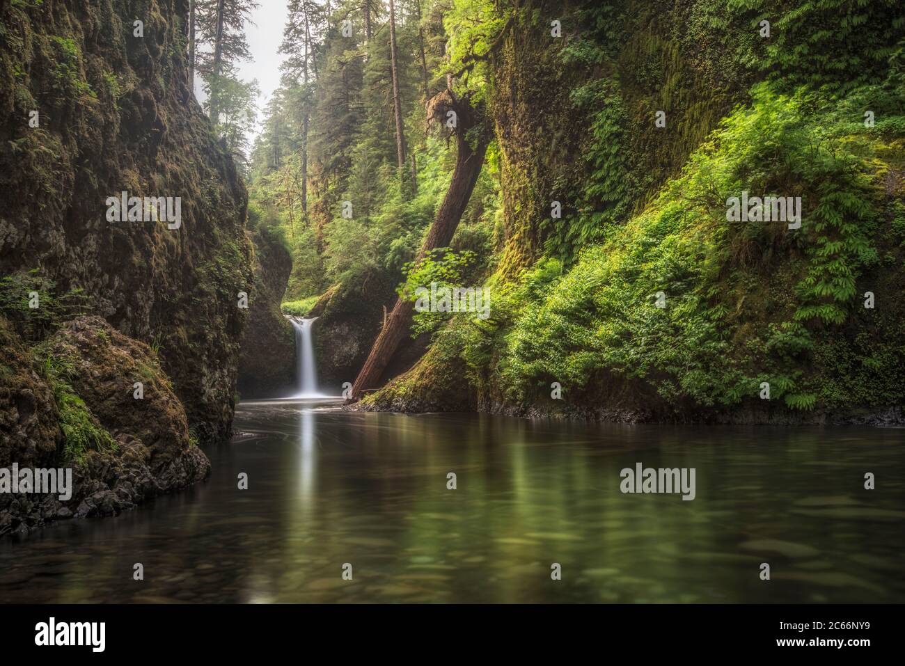 Punch bowl falls, Eagle Creek, Columbia River Gorge National Scenic Area, Oregon, United States, Stock Photo
