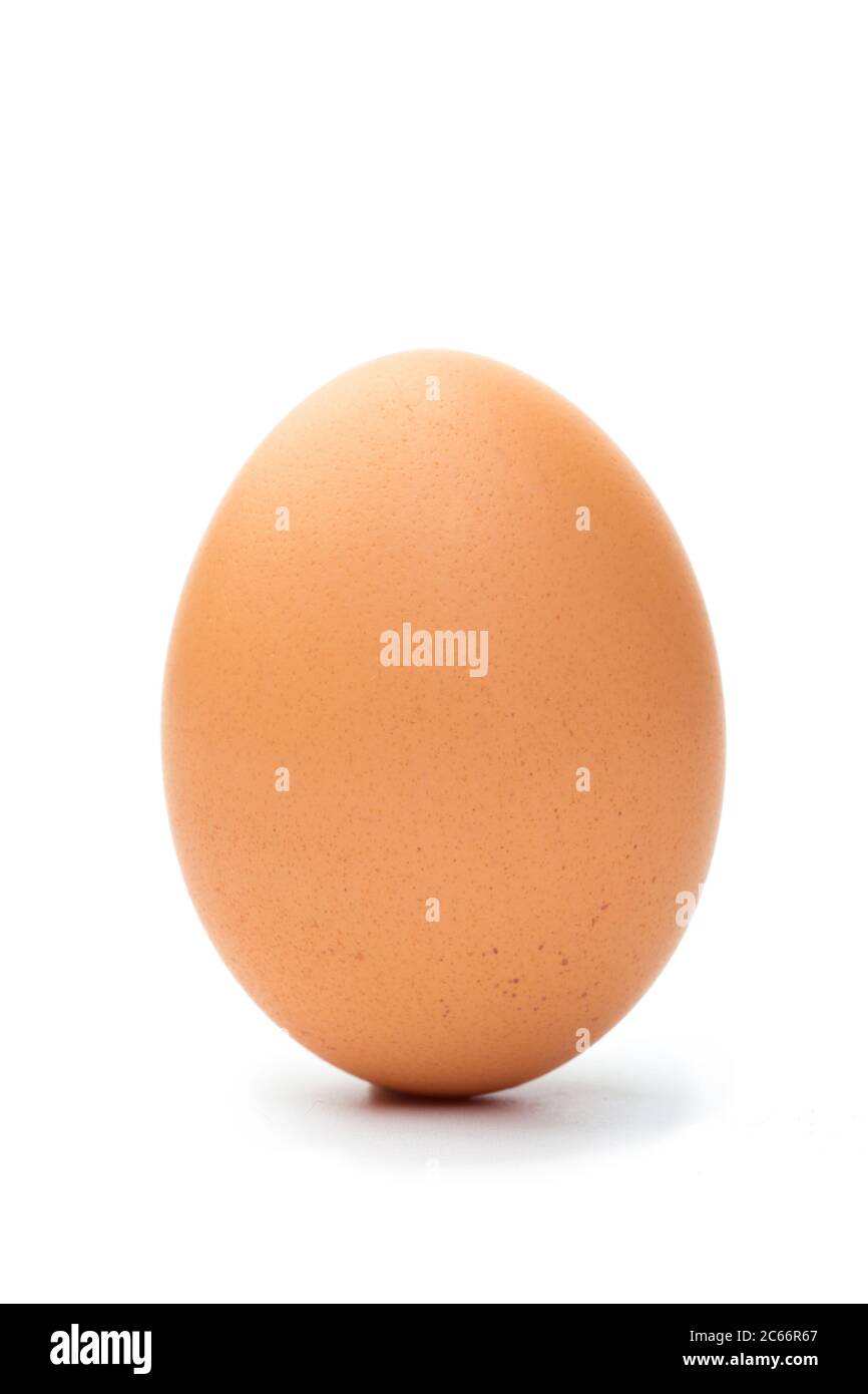 brown chicken egg on a white background Stock Photo - Alamy