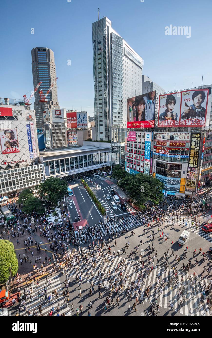 Japan, Tokyo City, Shibuya, Hachiko Crossing Stock Photo