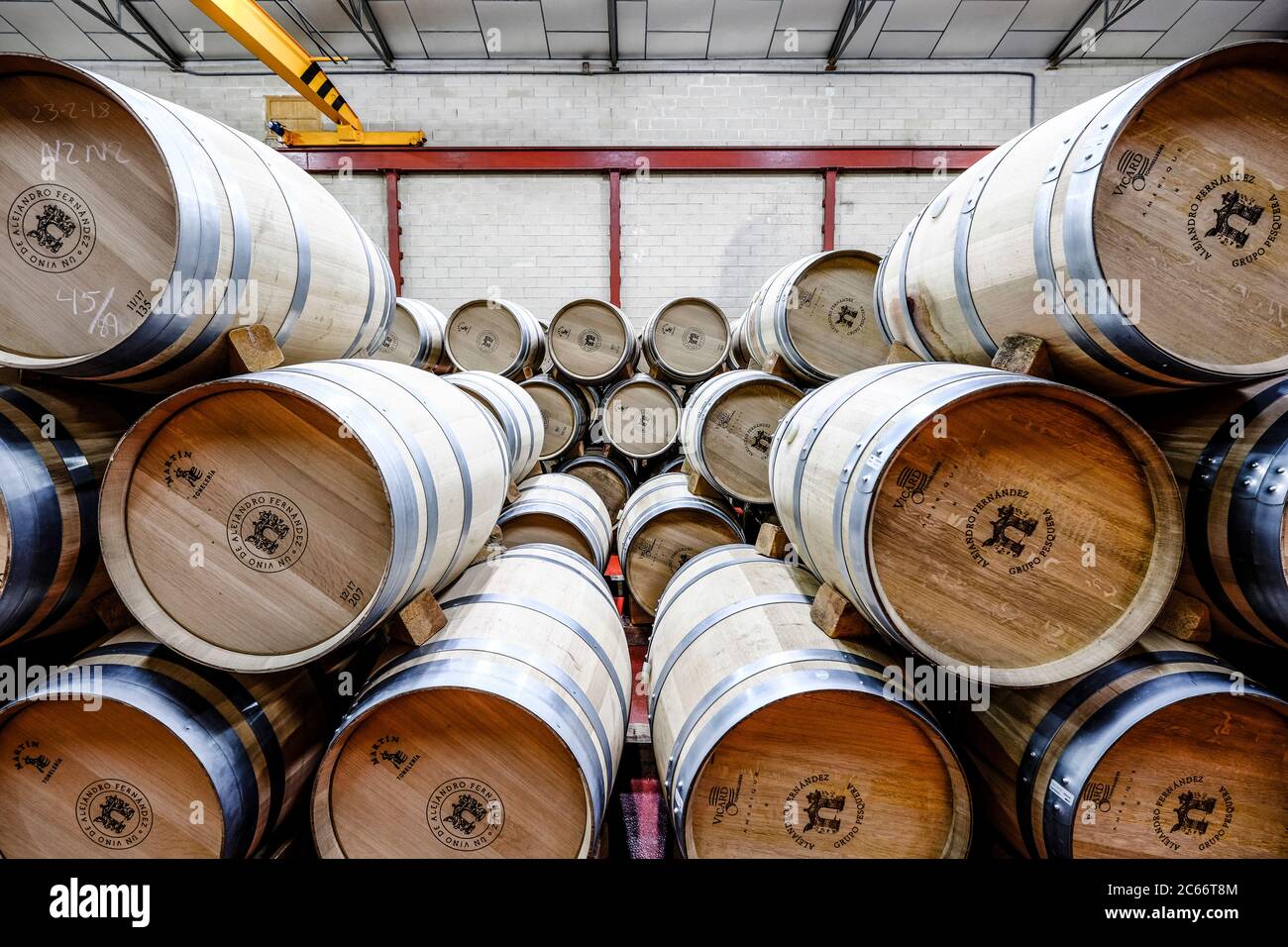Barrels in the cellars of the wine brand Alejandro Fernandez of denomination of origin Ribera del Duero in Valladolid Spain Europe Stock Photo