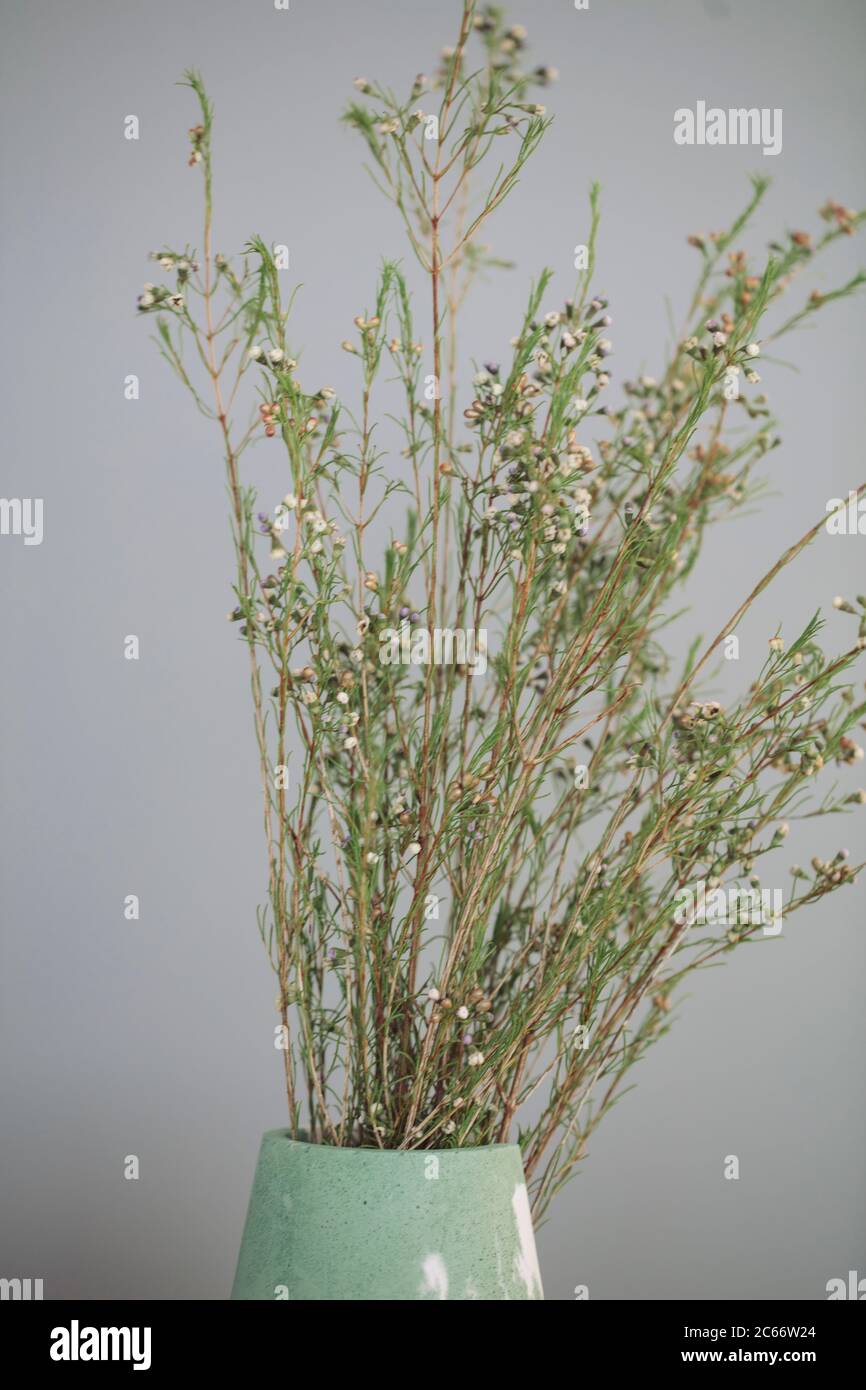 dry flowers put on a green vase Stock Photo Alamy