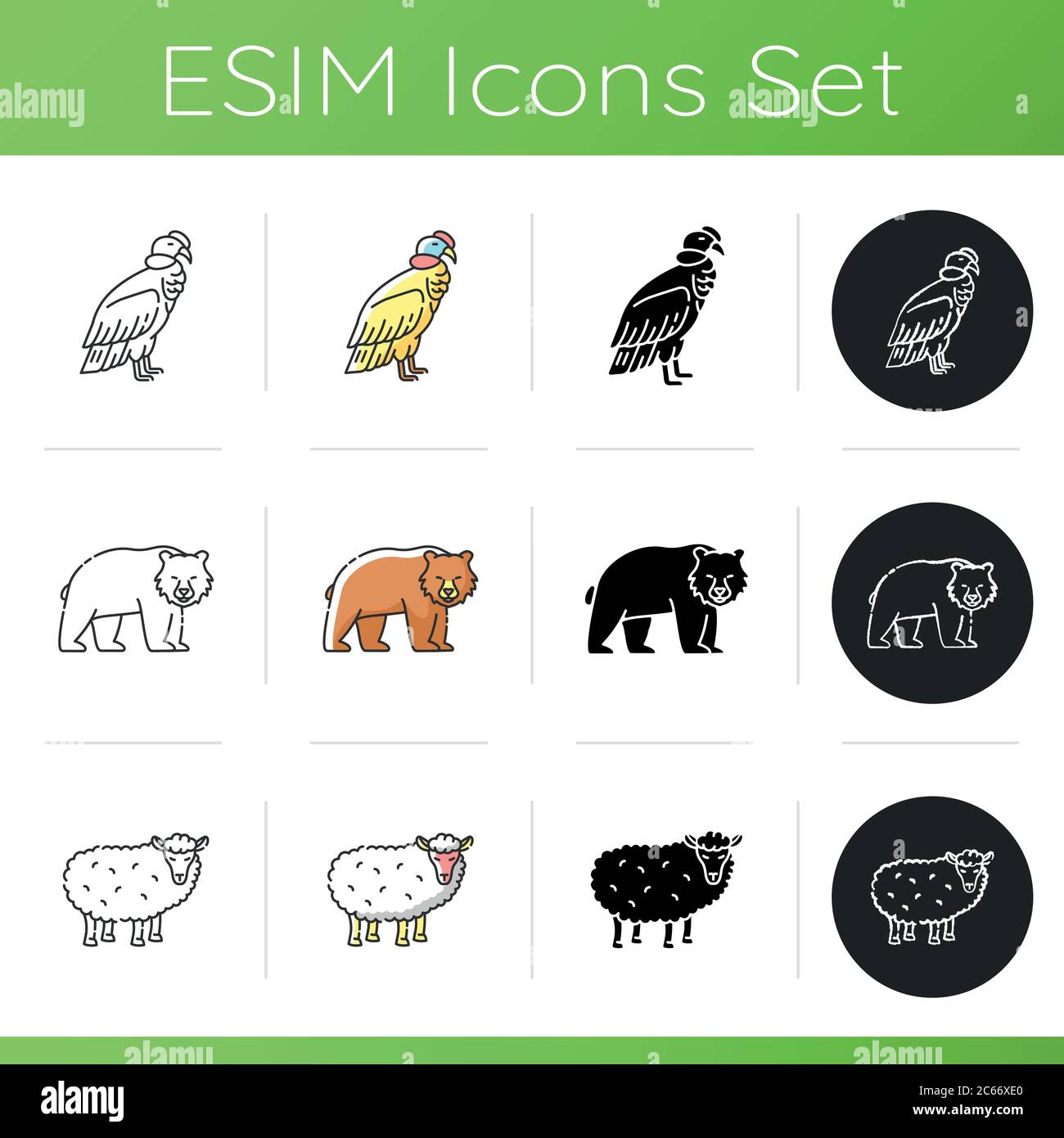 Animal species icons set. Linear, black and RGB color styles. Brown bear,  common sheep and condor. Mammals and bird. Diverse wildlife, exotic and  ordi Stock Vector Image & Art - Alamy