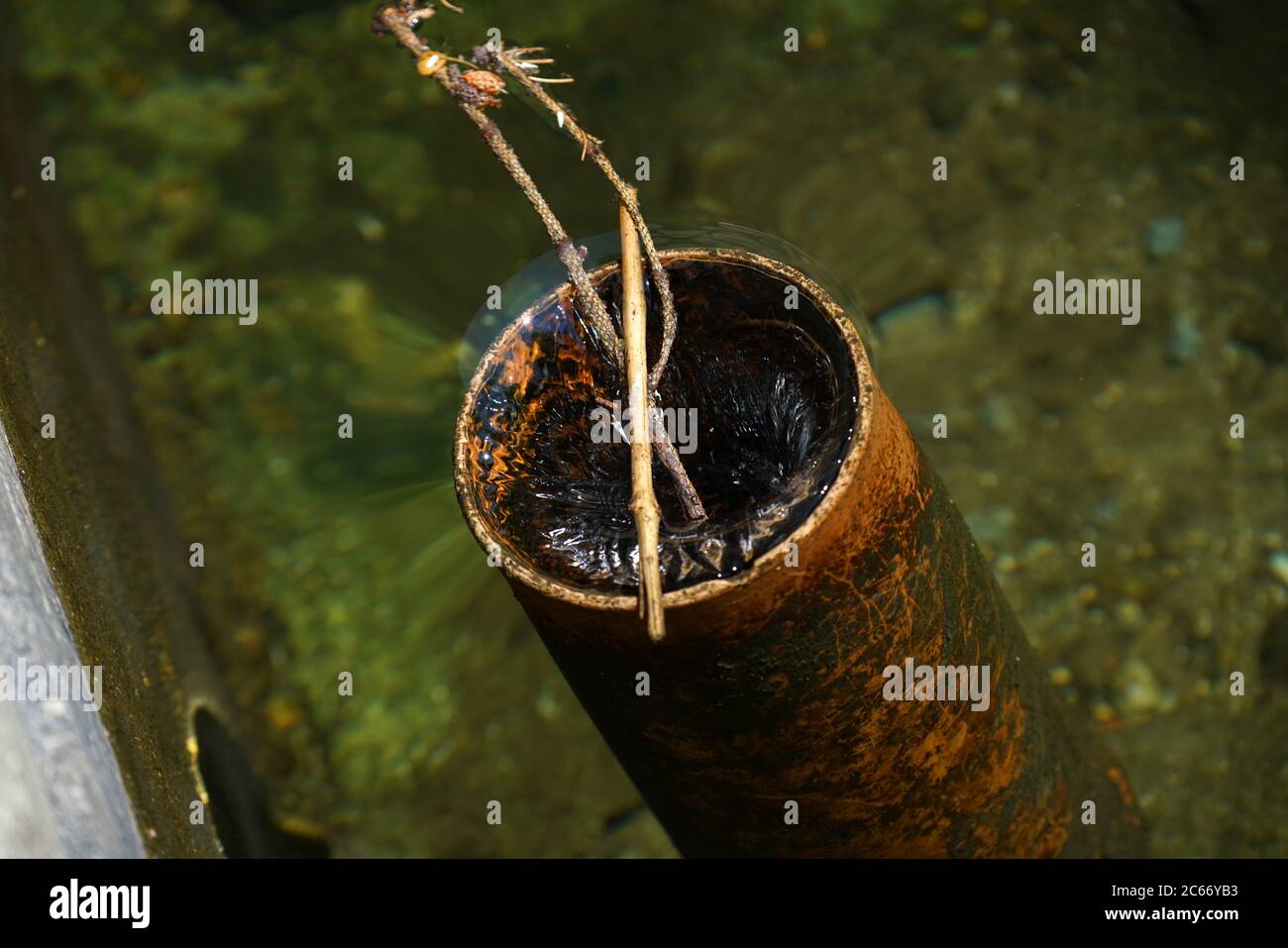 Plastic drain pipe through which apparently clean water flows Stock