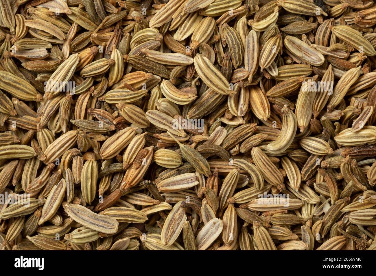 Dried fennel seed close up full frame Stock Photo Alamy