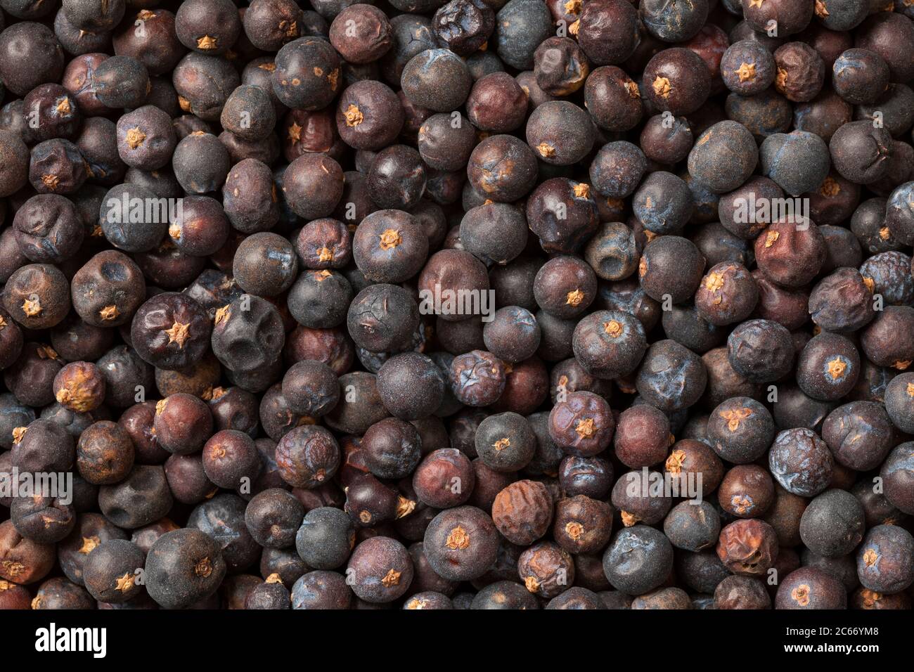 Dried juniper berries close up  full frame Stock Photo