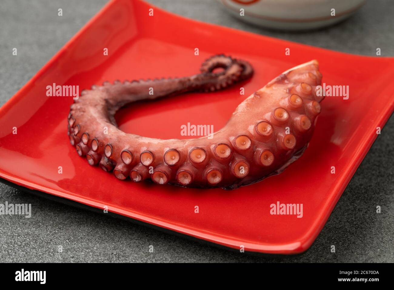 Fresh Cooked Octopus Tentacle Close Up Stock Photo - Image of