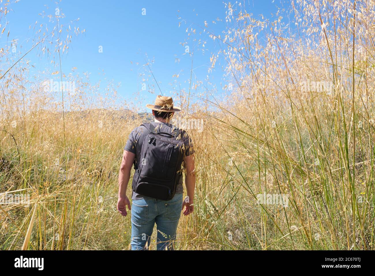 Young caucasian man with a straw hat hiking through a high plants field. Mushroom rocks path (Ruta de las Piedras Seta), Madrid, Spain. Stock Photo