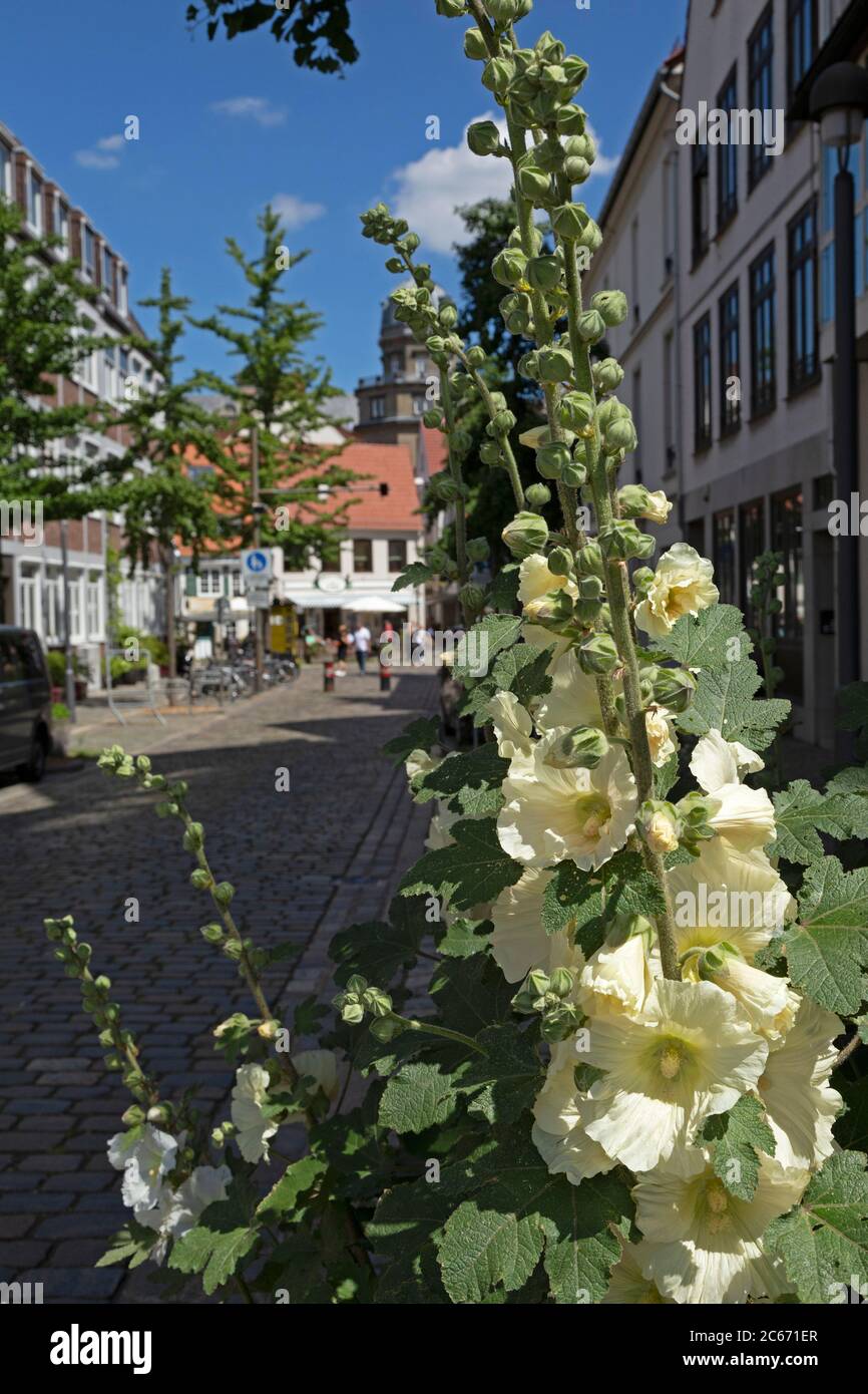 street at historic Schnoor quarter, Bremen, Germany Stock Photo