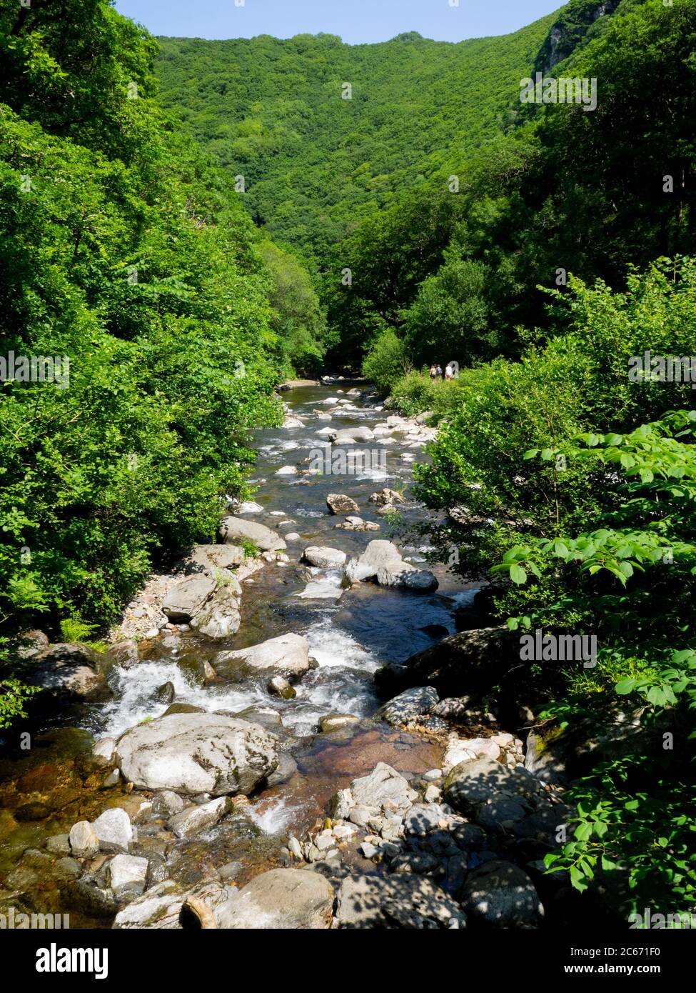 East Lyn River in a wooded valley between Watersmeet and Lynmouth, Devon, UK Stock Photo
