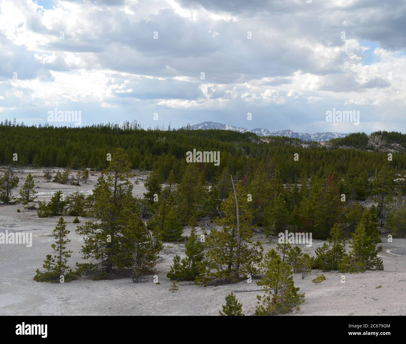 Spring in Yellowstone National Park: Mount Holmes & Dome Mountain of the Gallatin Range Seen From the Back Basin Area of Norris Geyser Basin Stock Photo