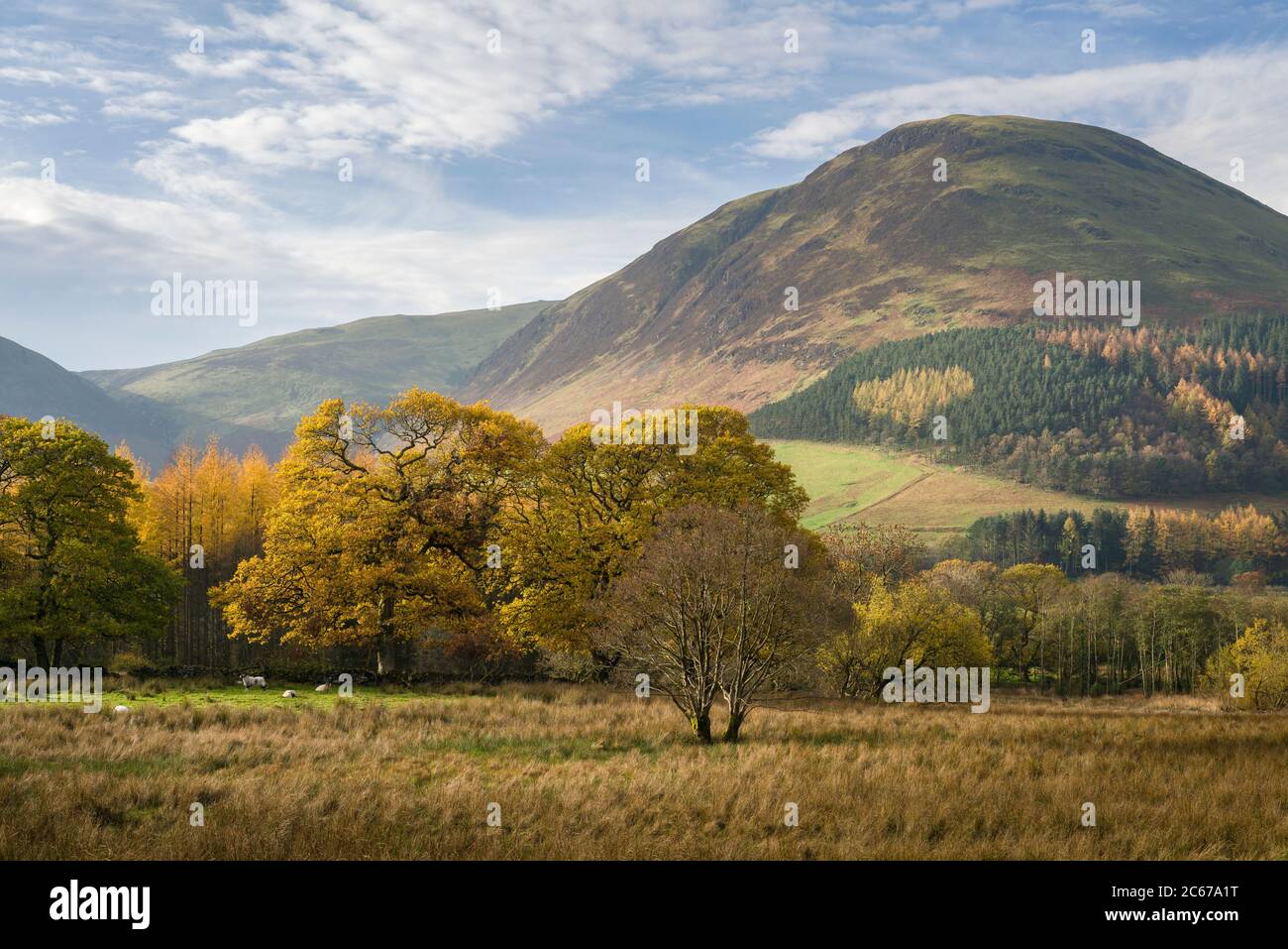Carling Knott in autumn at Loweswater in the Lake District National Park, Cumbria, England. Stock Photo