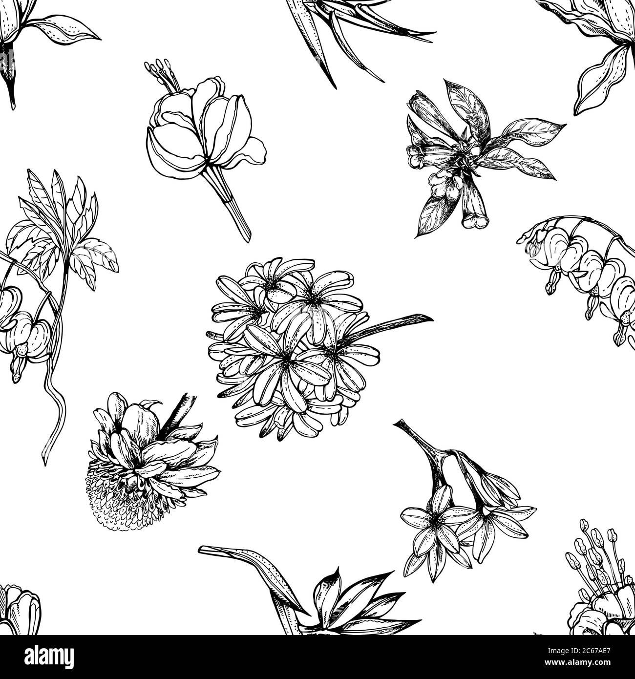 Seamless pattern of hand drawn sketch style tropical flowers and plants ...