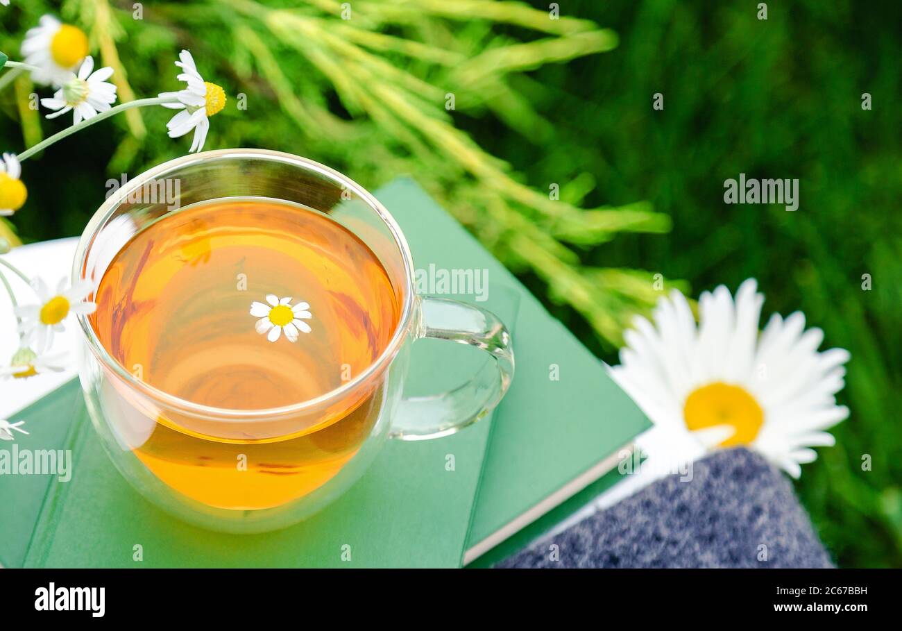 Glass cup of herbal tea with chamomile flower on books, warm green ...