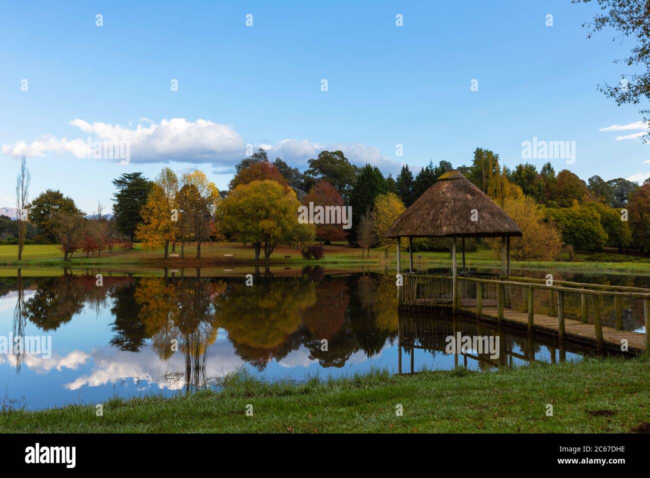 Reflection of autumn colored trees on water Stock Photo - Alamy