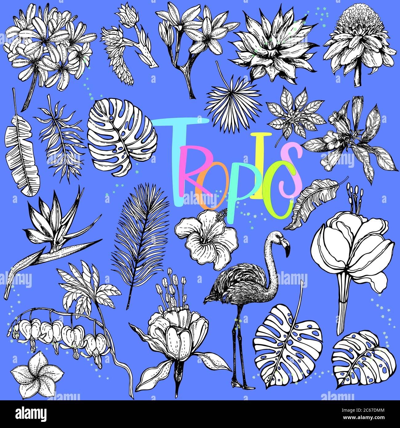Big set of hand drawn sketch style tropical flowers, plants and flamingo isolated on blue background. Vector illustration. Stock Vector