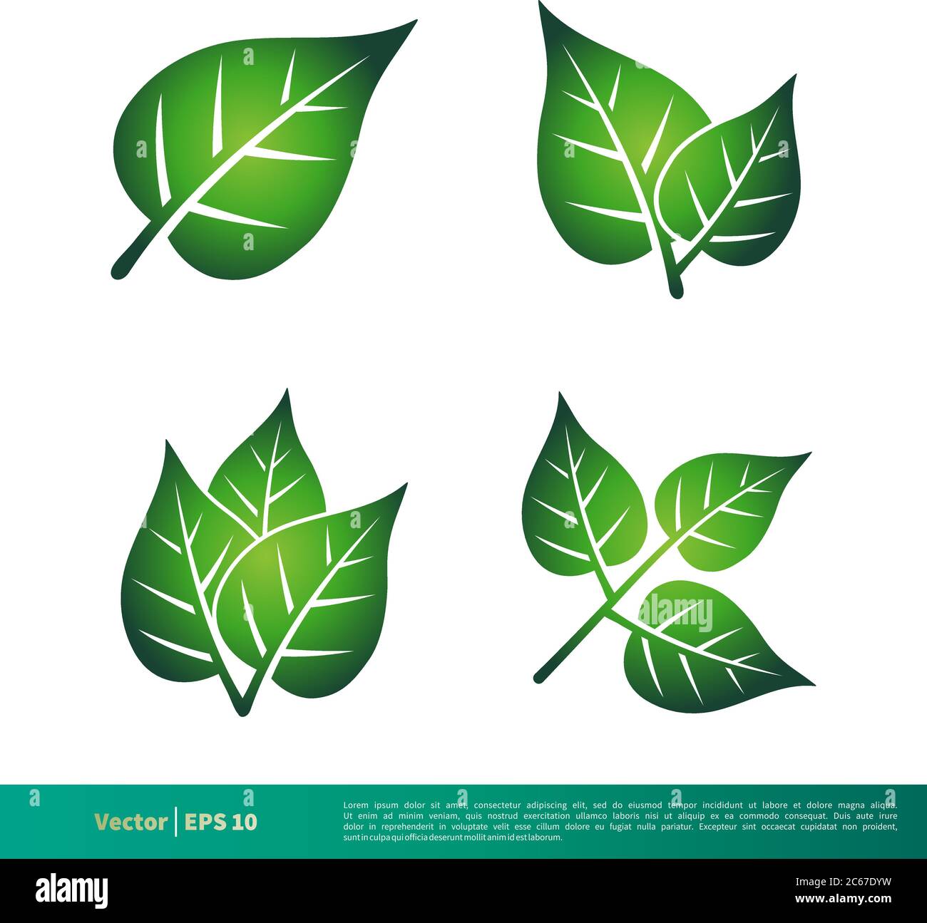 Green Leaf Icon Vector Logo Template Illustration Design. Editable Vector EPS 10. Stock Vector