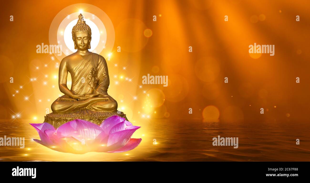 Buddha statue water lotus Buddha standing on lotus flower on orange