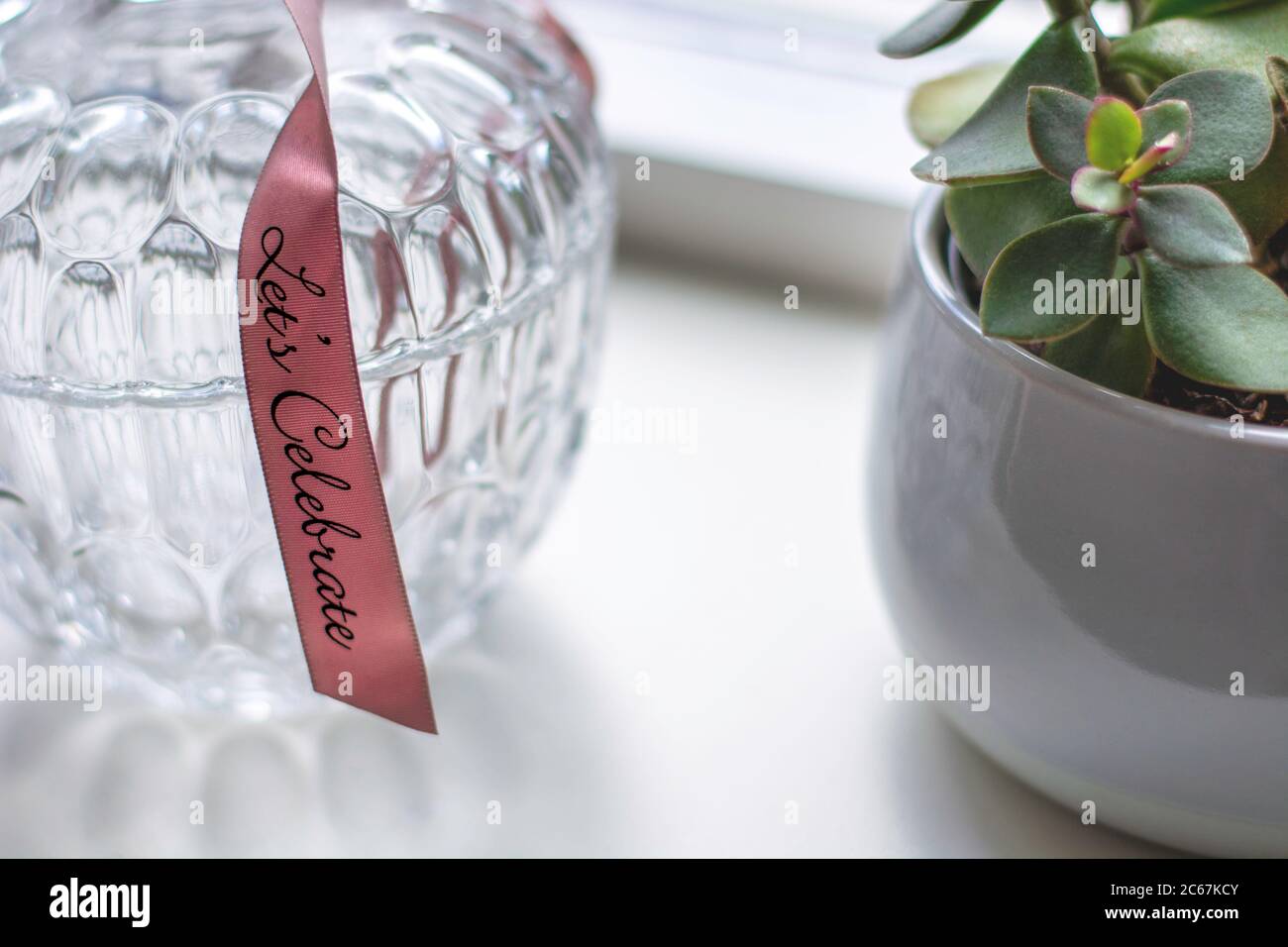 Decorative retro glass jar container with a pattern with a pink ribbon with text Let's Celebrate next to a succulent houseplant on a white windowsill. Stock Photo