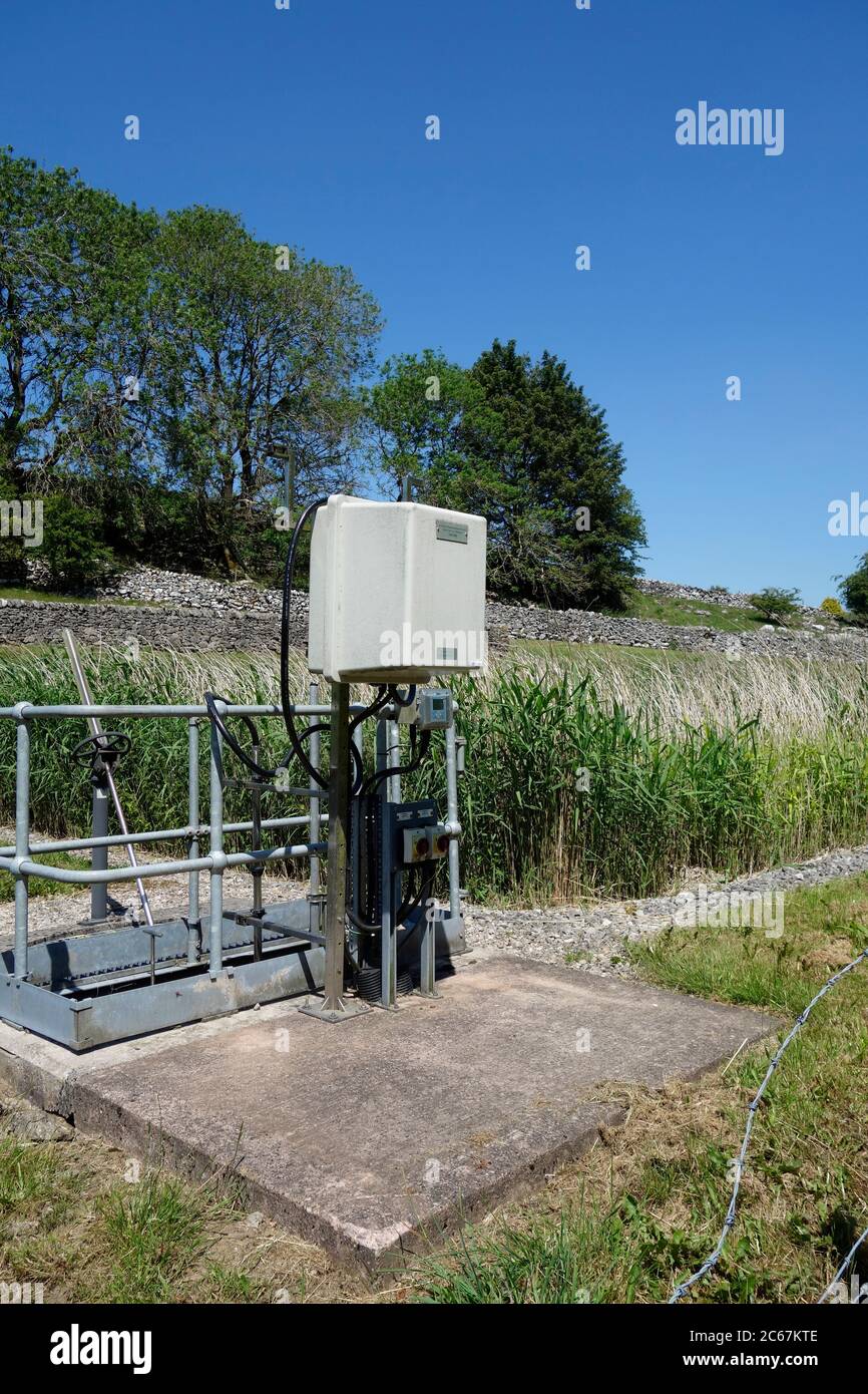 Reed Bed Water Purification System at a Sewage Farm, Biggin Dale, Derbyshire, England, UK in June Stock Photo