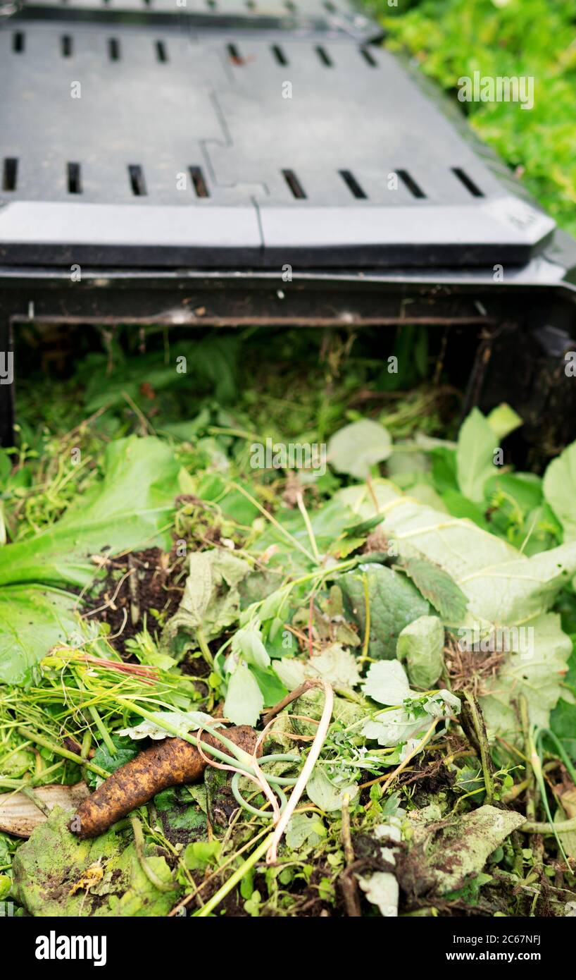 Top view inside of compost container bin outdoors Stock Photo Alamy