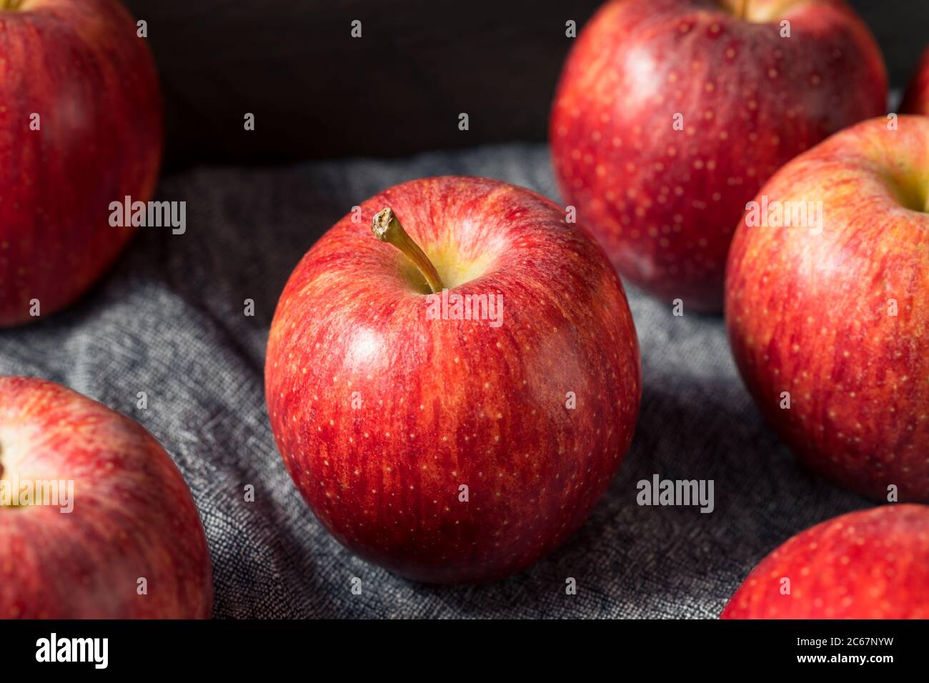Raw Red Organic Gala Apples in a Bunch Stock Photo