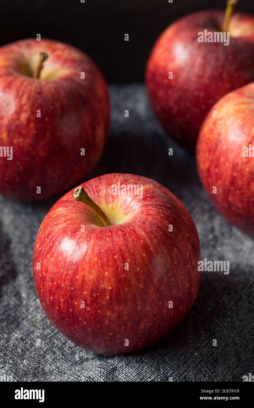 Red Apple Rawa Raw Red Organic Gala Apples in a Bunch Stock Photo - Alamy