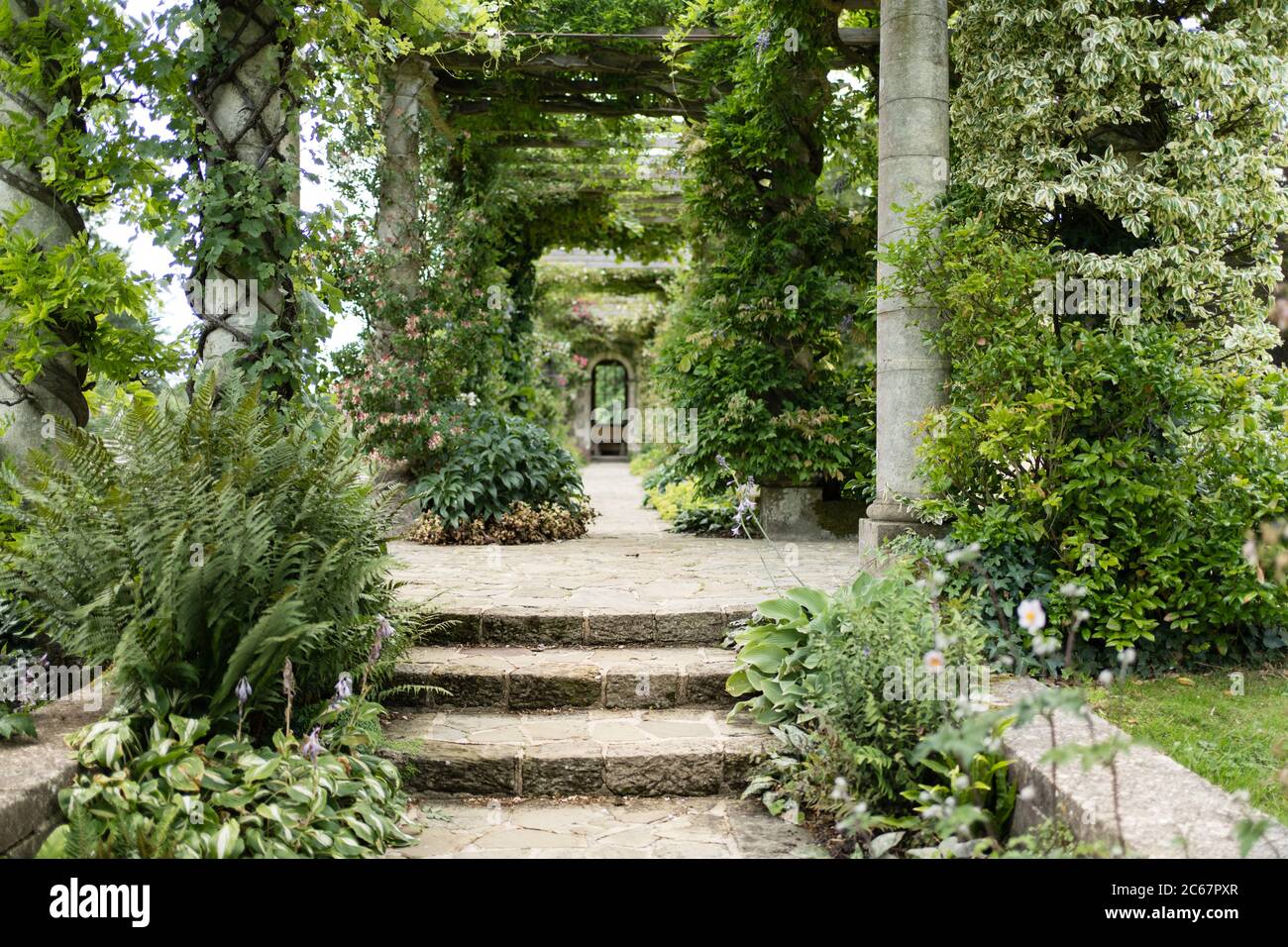 The Edwardian pergola at West Dean Gardens near Chichester in East Sussex Stock Photo