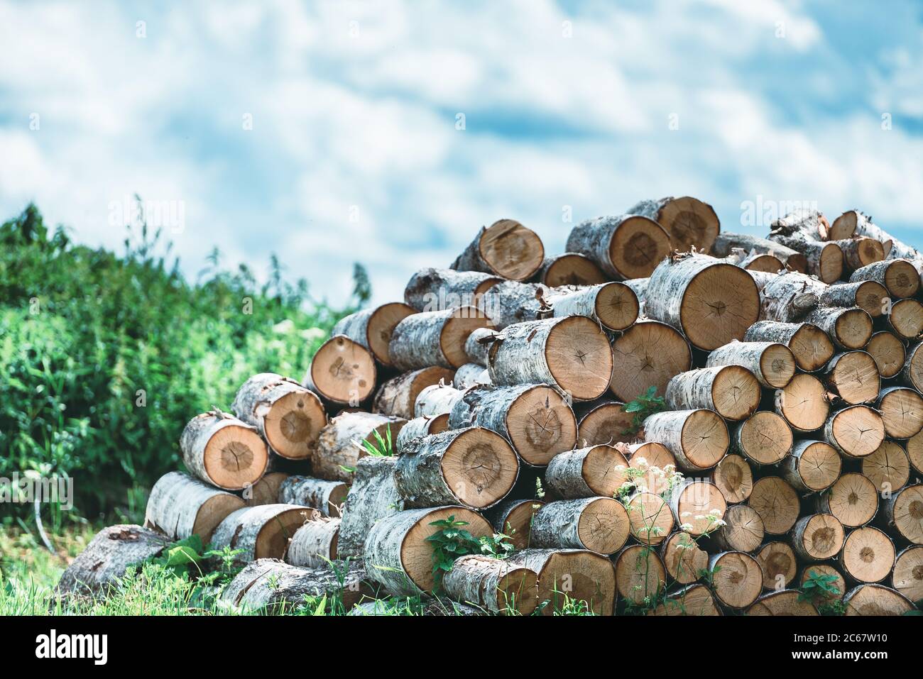 Firewood, birch logs on the background of the sky. Rural landscape. Stock Photo