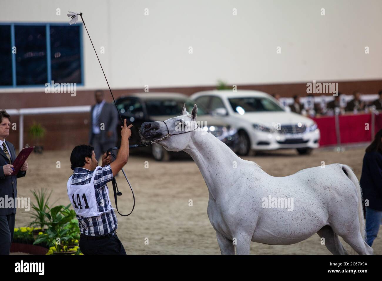 Horse mercedes hi-res stock photography and images - Page 2 - Alamy