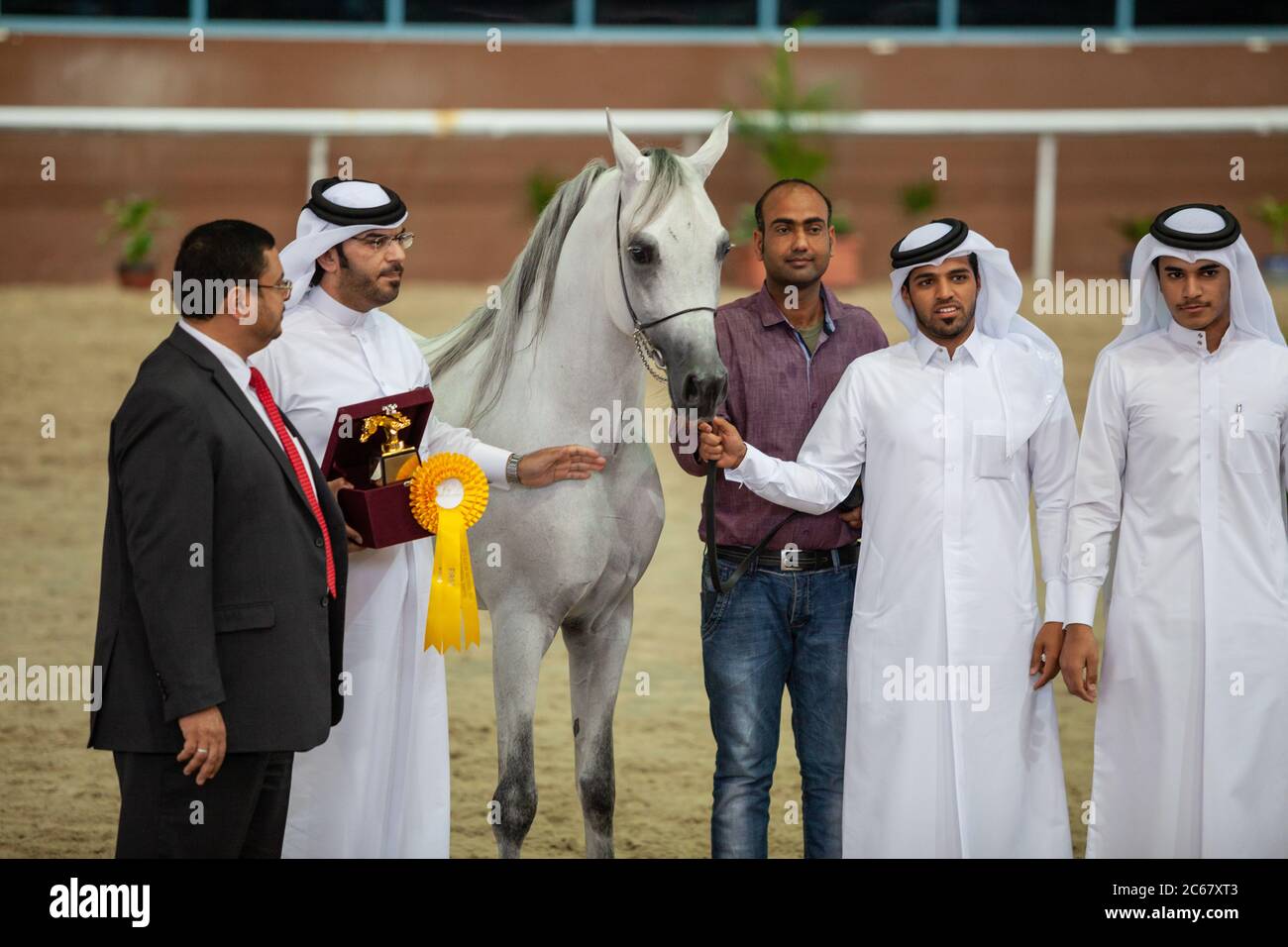 Arabian Horse Show at Qatar Equestrian Federation, Doha. Arabian Horses