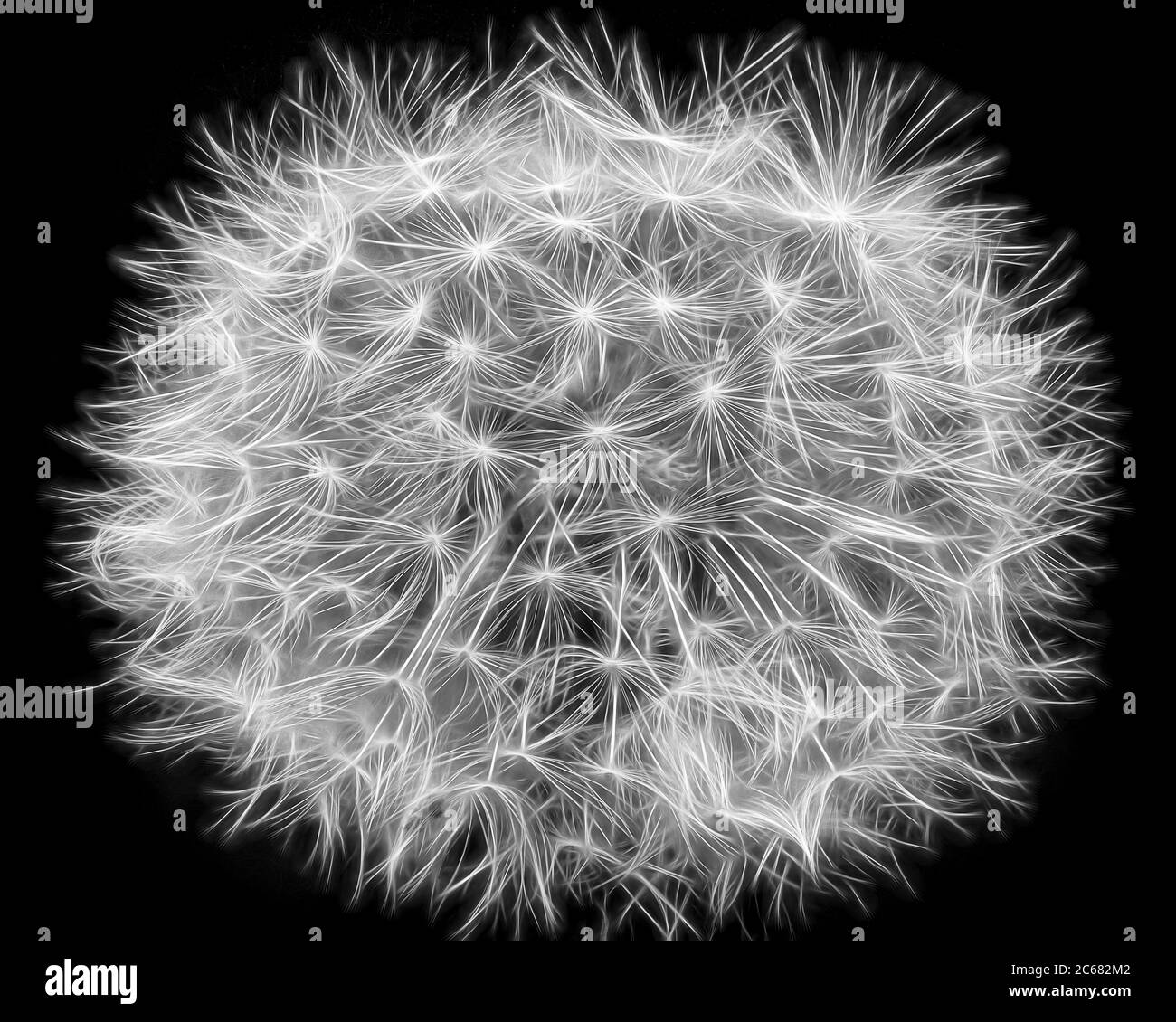 Parachute detail Black and White Stock Photos & Images - Alamy
