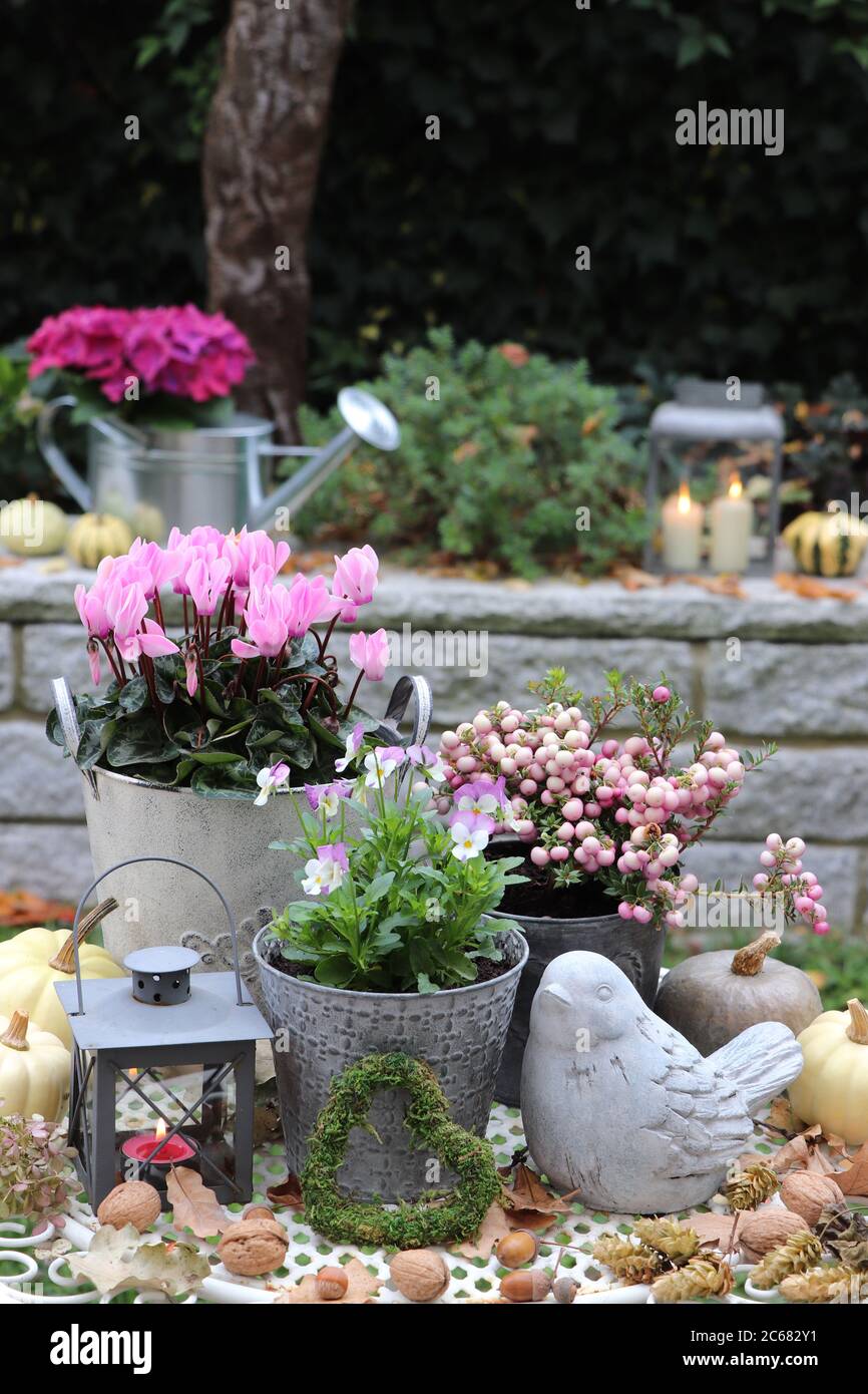 autumn garden decoration with flowers in plant pots, lantern and concrete bird Stock Photo