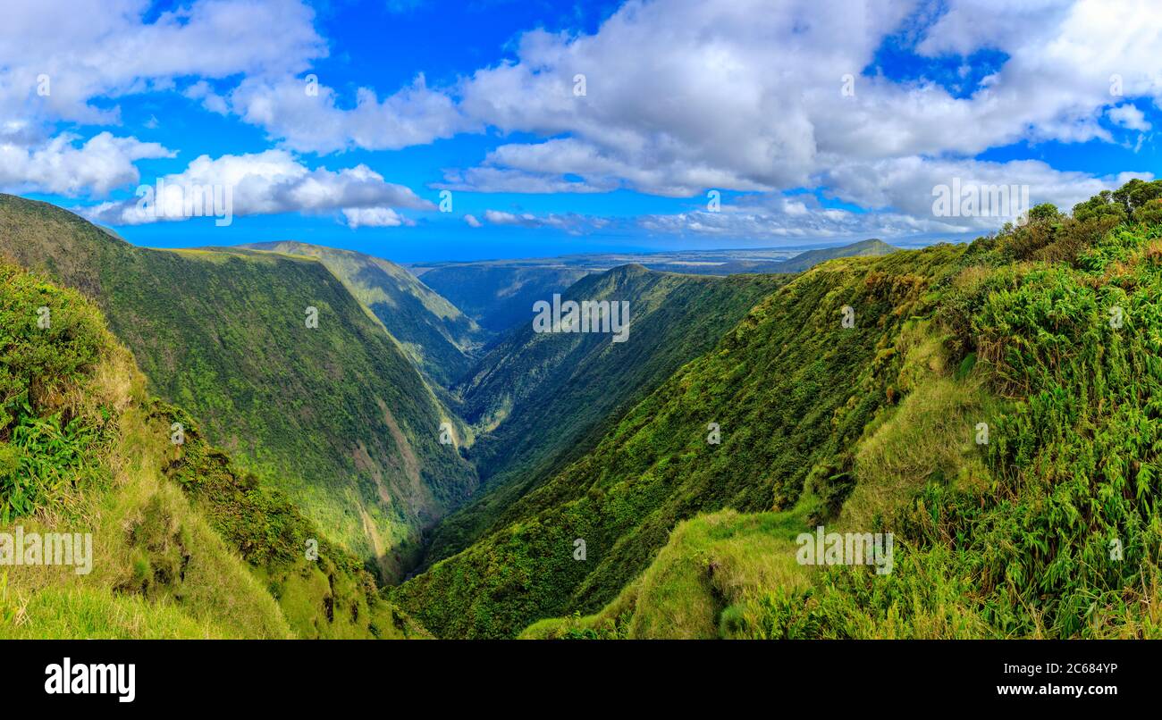 View of mountains and valley Alikahi Valley, Waimea (Kamuela), Hawaii, USA Stock Photo