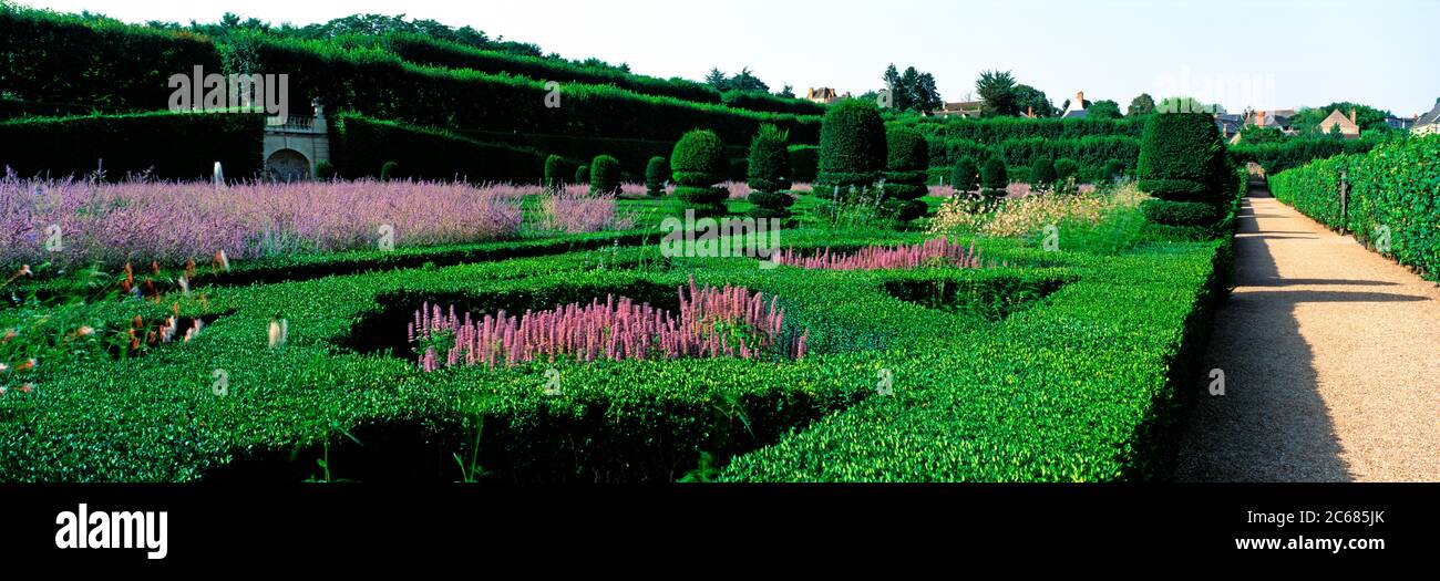 Garden of the Chateau de Villandry, Villandry, Indre-et-Loire, France Stock Photo