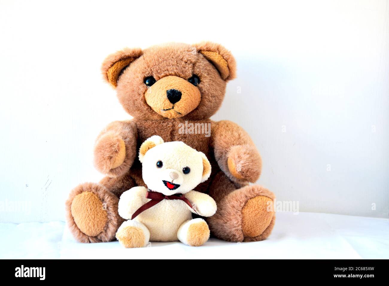 2 teddy bears in love