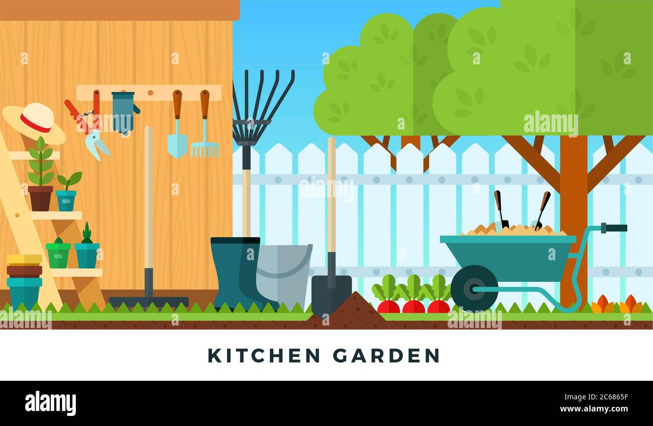 Colorful vector flat illustration of kitchen garden. Tools for