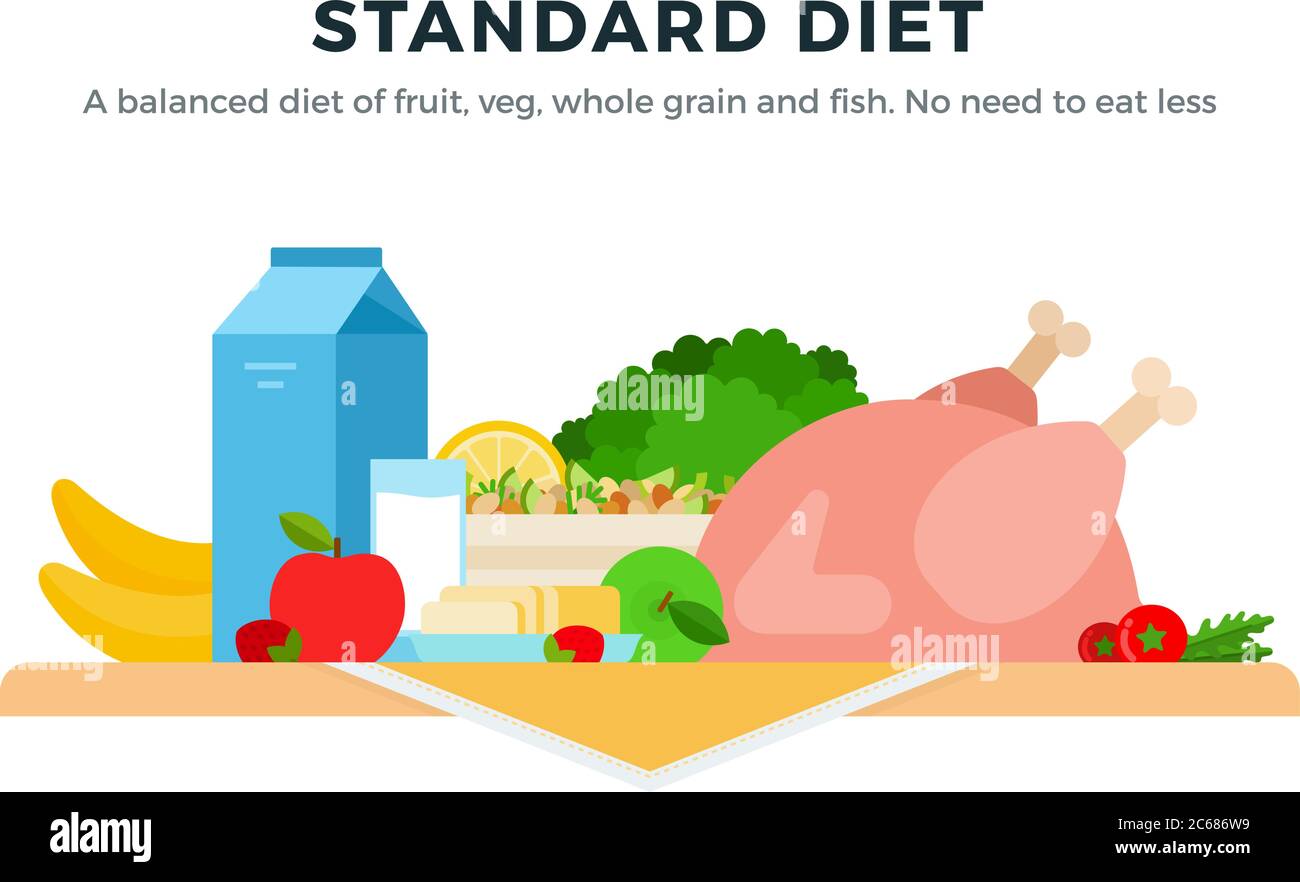 Standard Diet vector flat isolated vector flat isolated Stock Vector