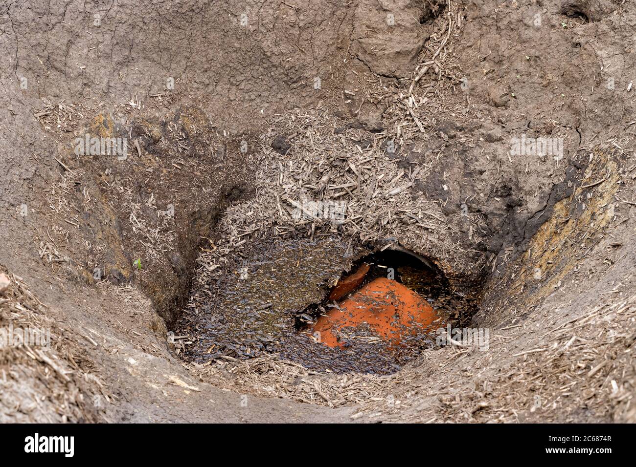 Broken and damaged clay field tile drainage system caused large