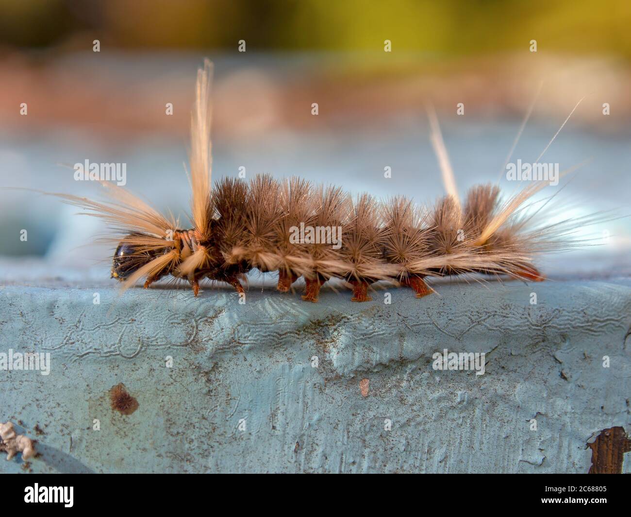 Crawly town hi-res stock photography and images - Alamy