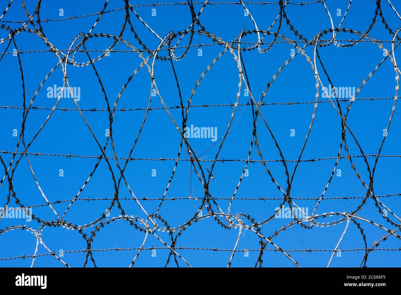 Barbed wire against clear sky, France Stock Photo