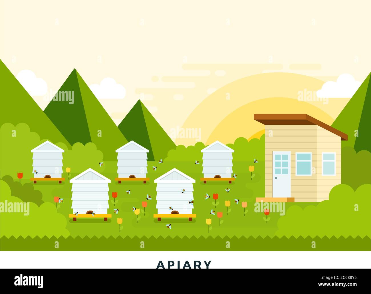 Beekeeping farm at dawn vector flat illustration Stock Vector Image ...