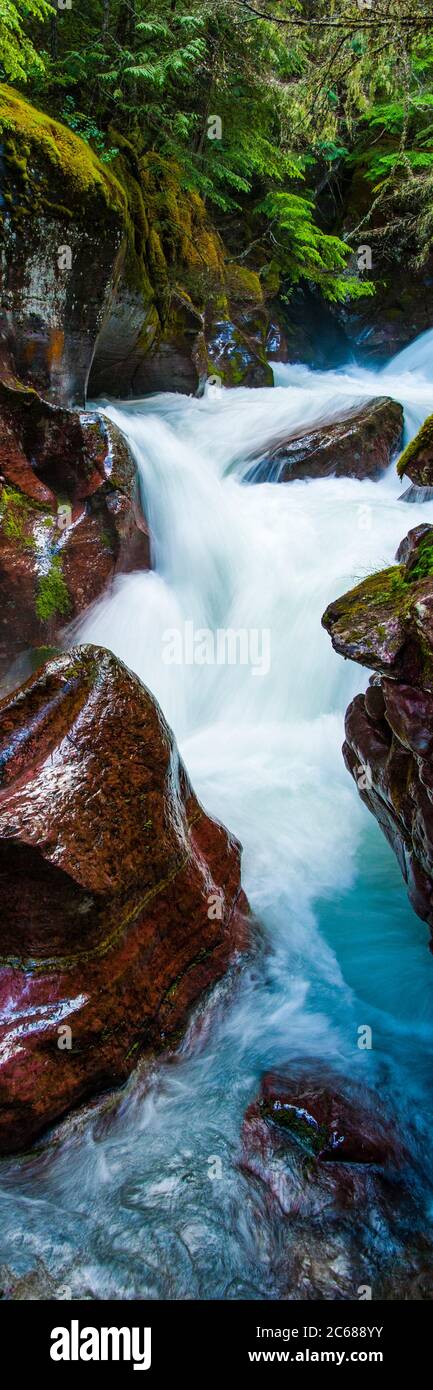 Avalanche Creek Glacier National Hi res Stock Photography And Images Avalanche Creek Glacier National Hi res Stock Photography And Images