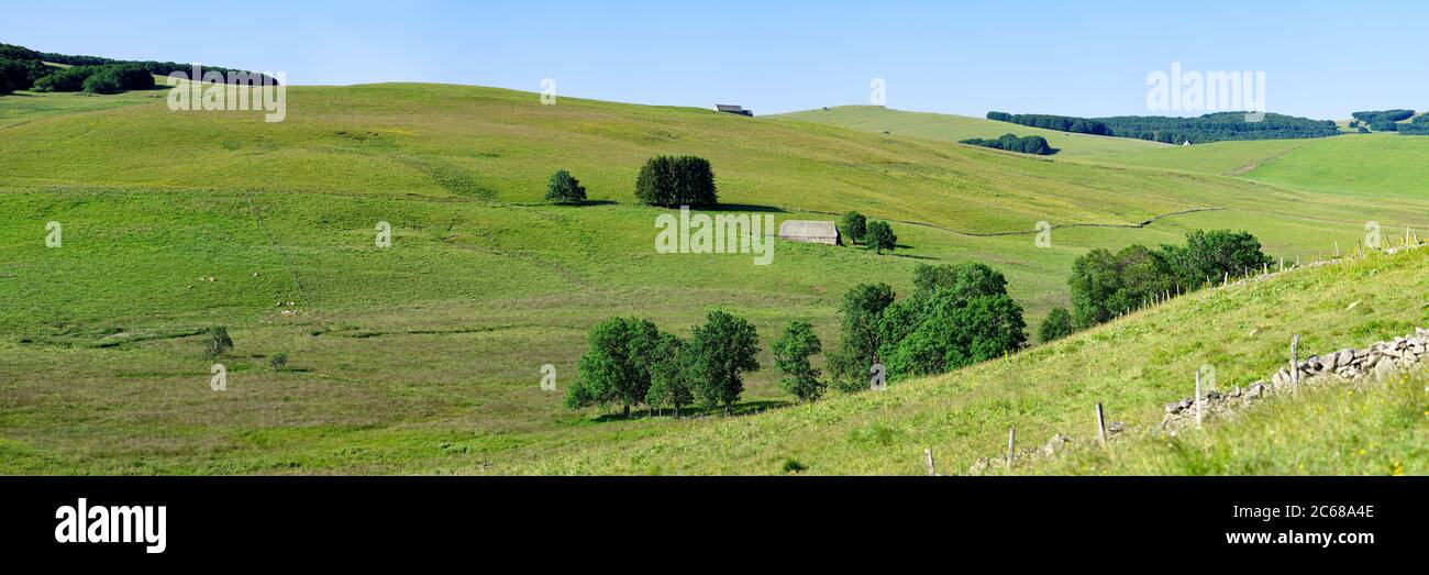 Rolling landscape of fields, Aubrac Plateau, Cantal, Auvergne Rhone Alpes region, France, Europe Stock Photo