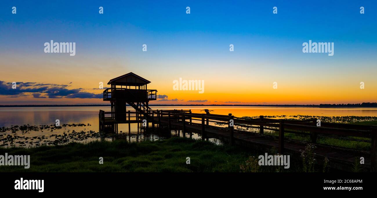 Silhouette of tower standing on lakeshore of Lake Pierce at dawn, Lake Wales, Florida, USA Stock Photo